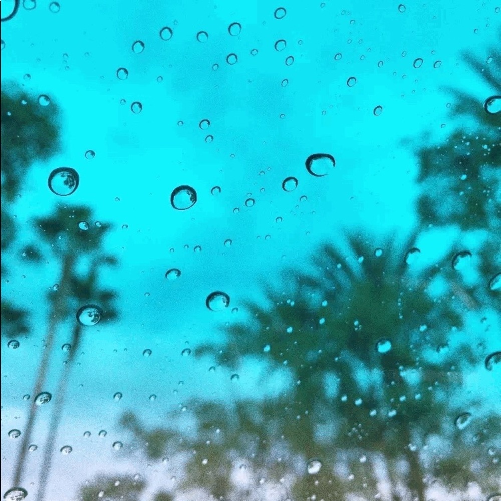 Meet your Posher, Bitsy